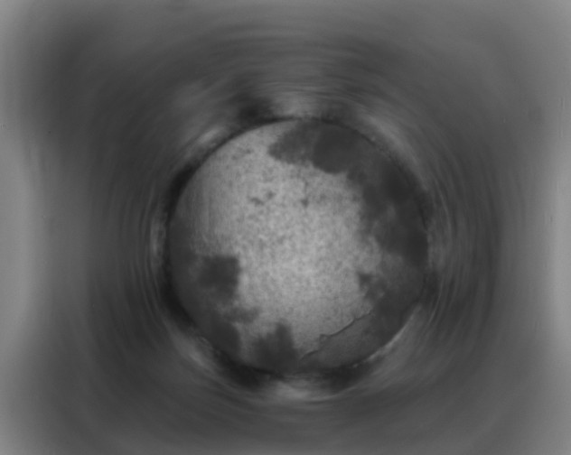 X0000088140171200705211143