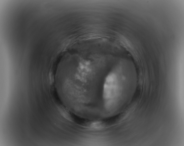 X0000088140173200705211143