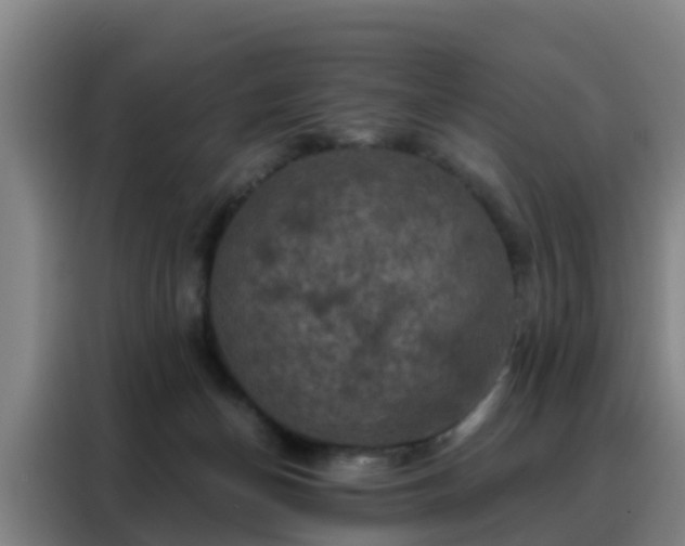 X0000088140174200705211143