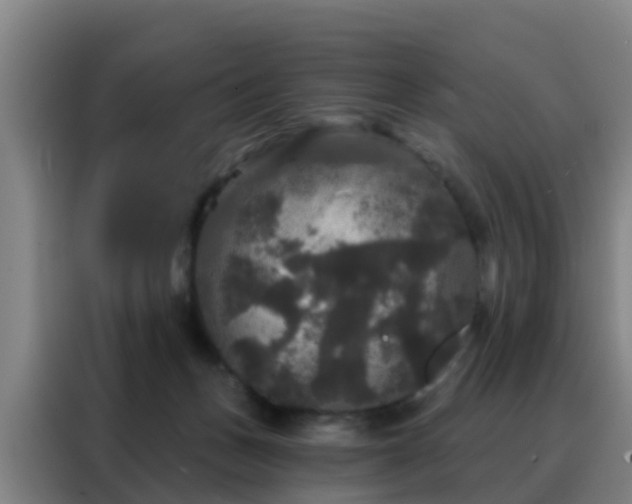 X0000088140175200705211143