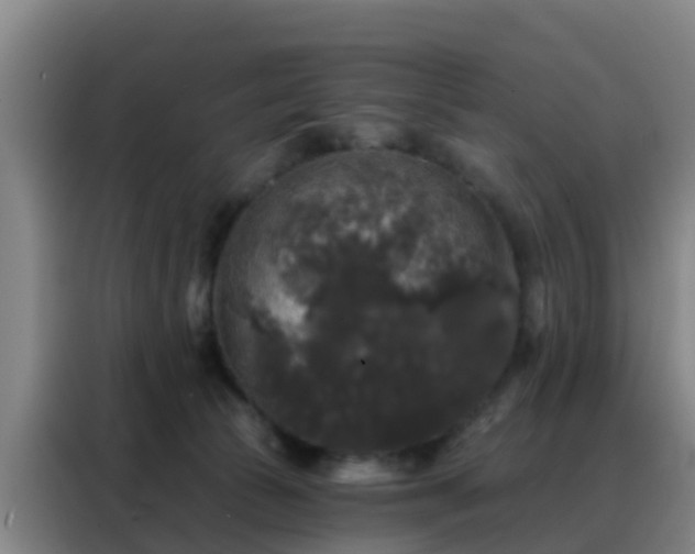 X0000088140177200705211143