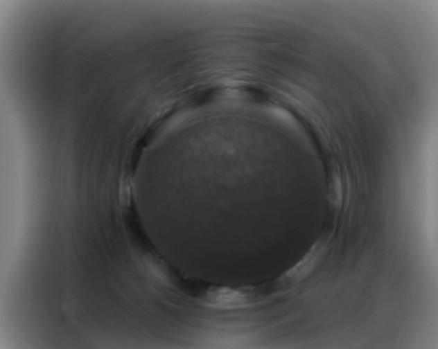 X0000088140180200705211143