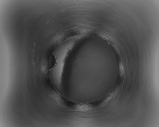 X0000088140181200705211143