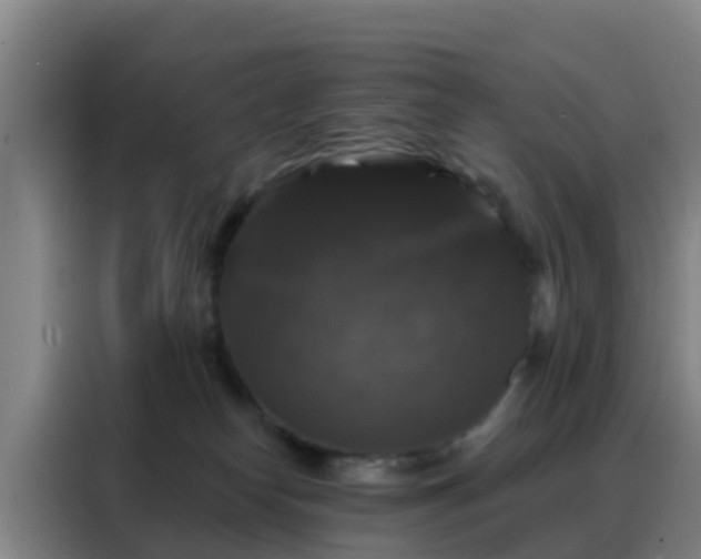 X0000088140182200705211143