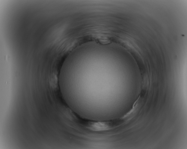 X0000088140183200705211143