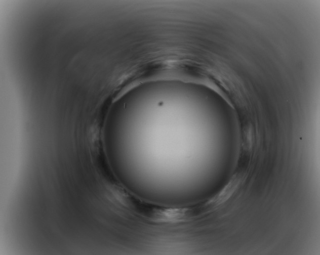 X0000088140184200705211143