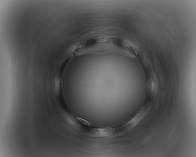 X0000088140188200705211143
