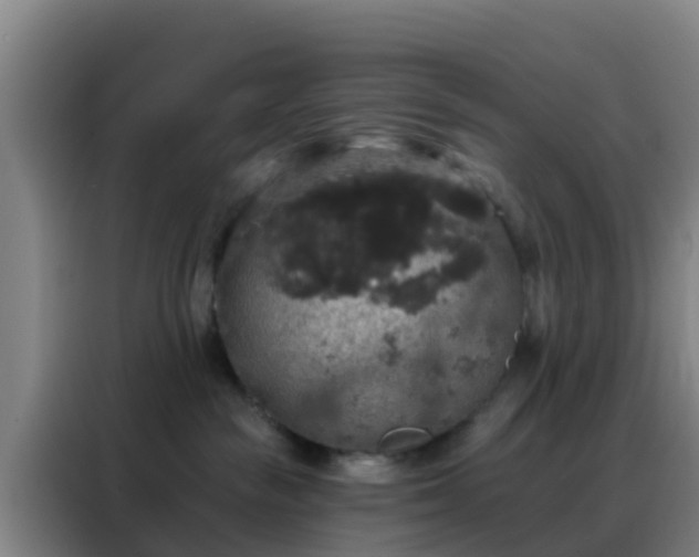 X0000088140189200705211143