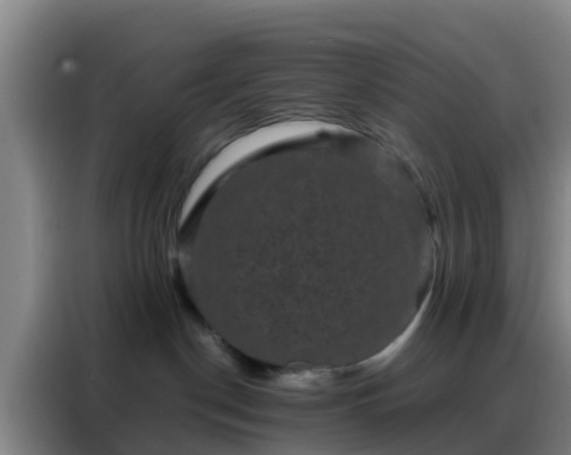 X0000088140190200705211143