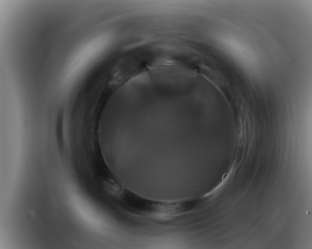 X0000088140191200705211143