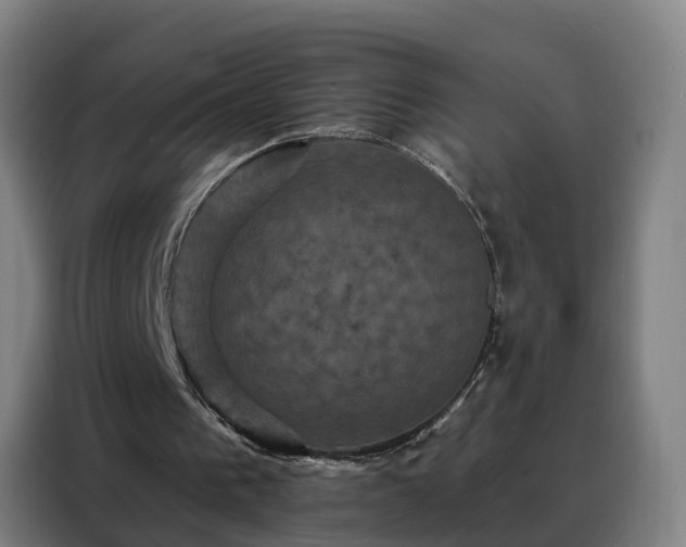 X0000088140193200705211142