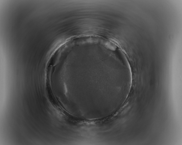 X0000088140194200705211142