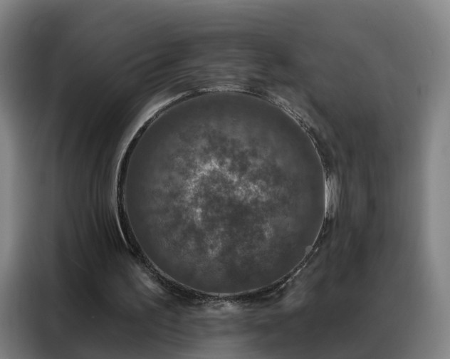 X0000088140195200705211142