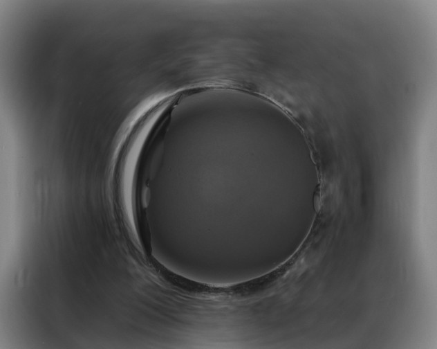 X0000088140200200705211142