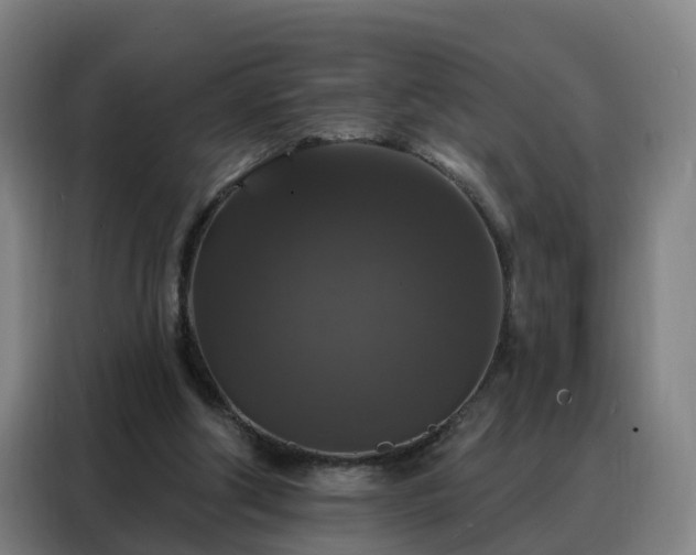 X0000088140202200705211142