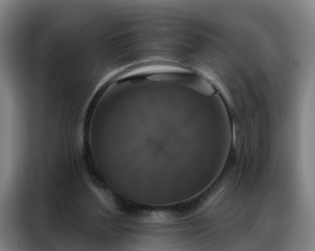 X0000088140204200705211142