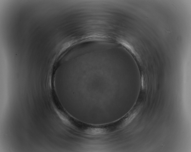 X0000088140205200705211142