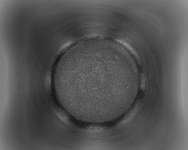 X0000088140207200705211142