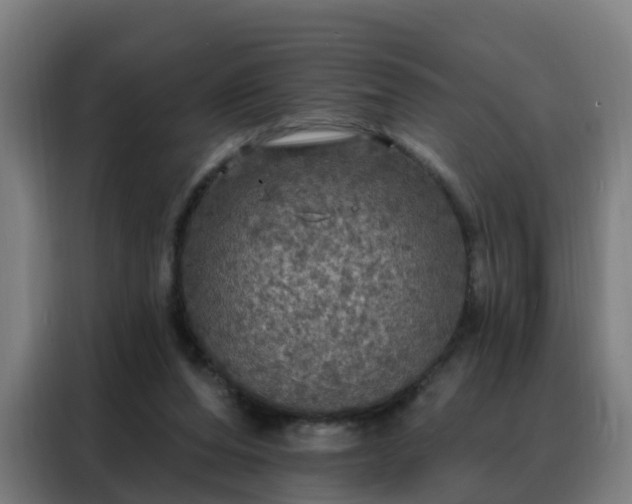 X0000088140208200705211142