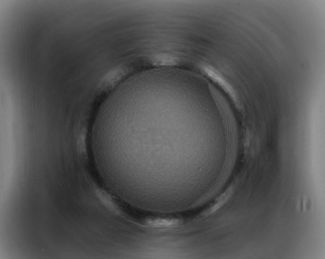X0000088140209200705211142