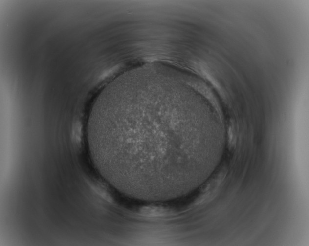 X0000088140211200705211142
