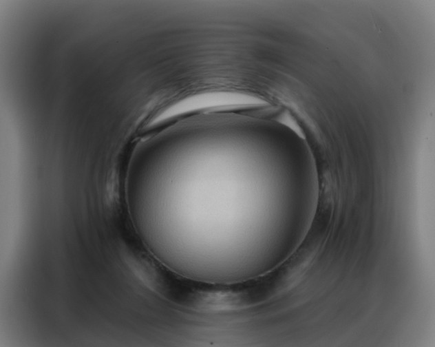X0000088140212200705211142