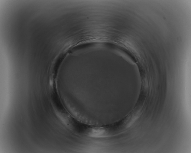 X0000088140214200705211142