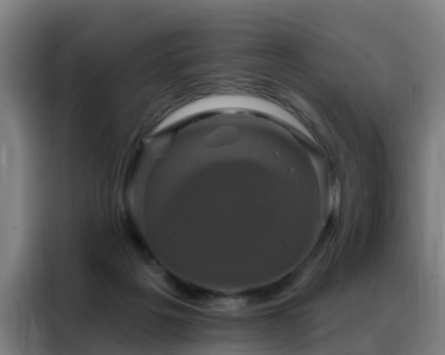 X0000088140217200705211142