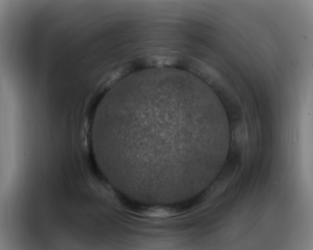 X0000088140218200705211142