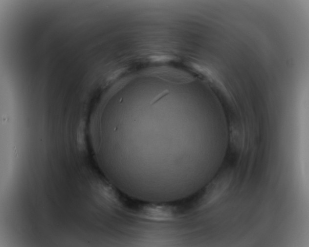 X0000088140221200705211142