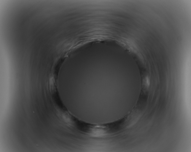 X0000088140222200705211142