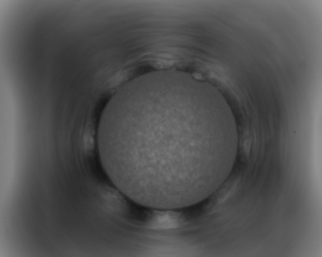 X0000088140226200705211142