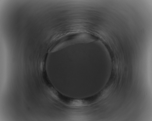 X0000088140227200705211142