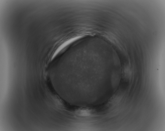 X0000088140228200705211142