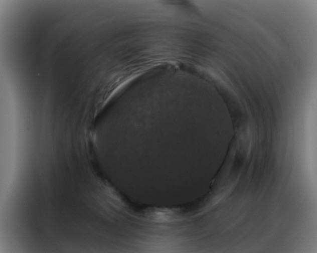 X0000088140229200705211142