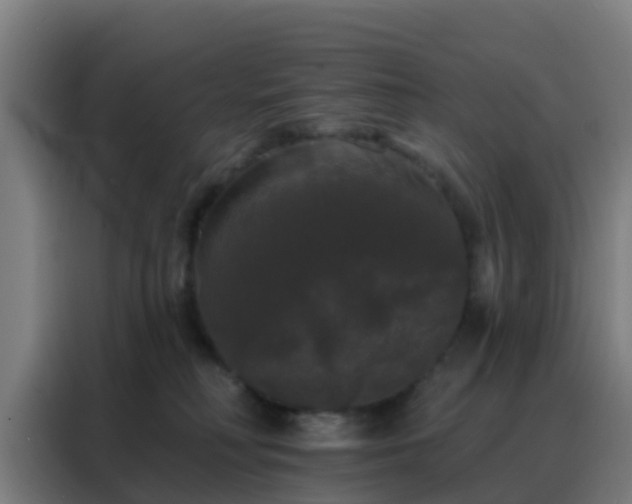 X0000088140230200705211142