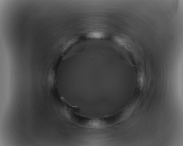 X0000088140231200705211142