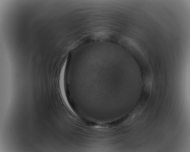 X0000088140232200705211142