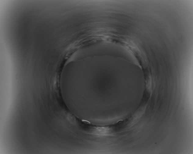 X0000088140233200705211142