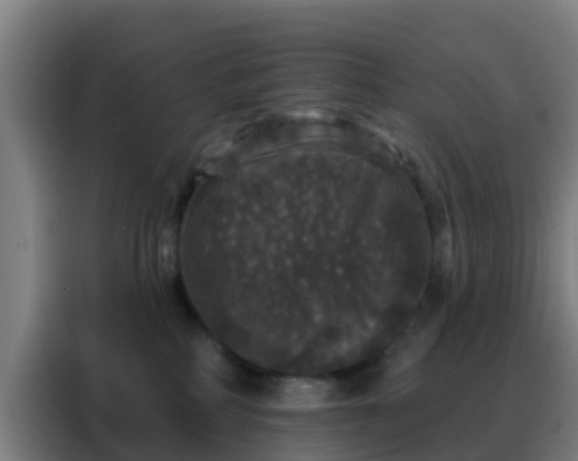 X0000088140234200705211142