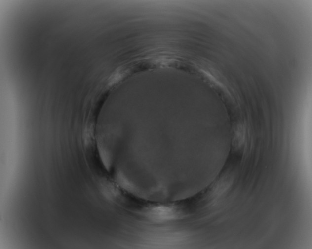 X0000088140236200705211142