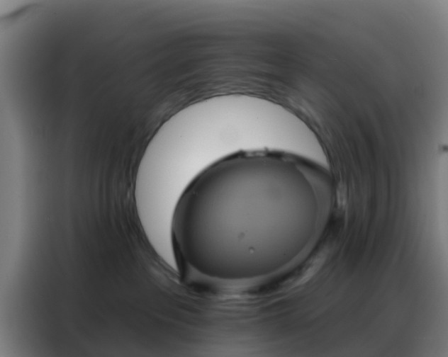 X0000088140237200705211142