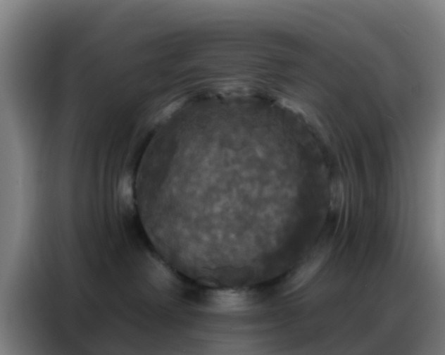 X0000088140238200705211142