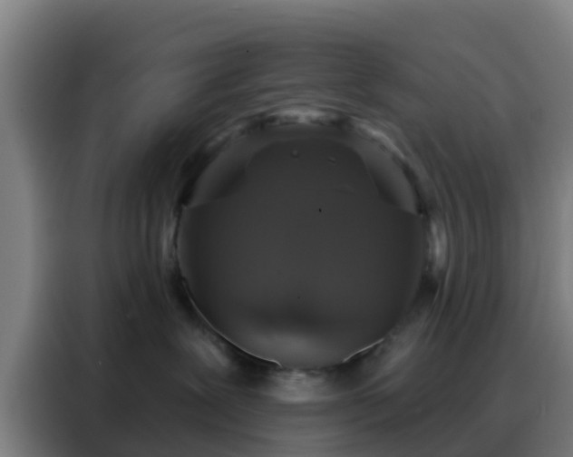 X0000088140239200705211142