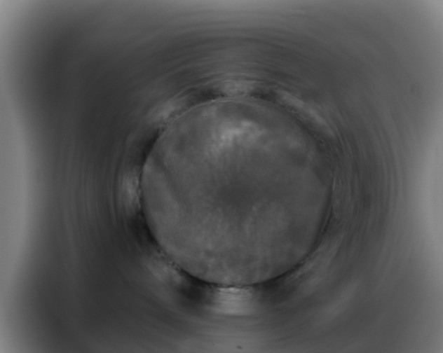 X0000088140240200705211142