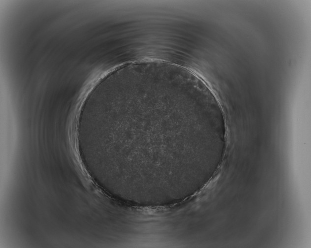 X0000088140241200705211141
