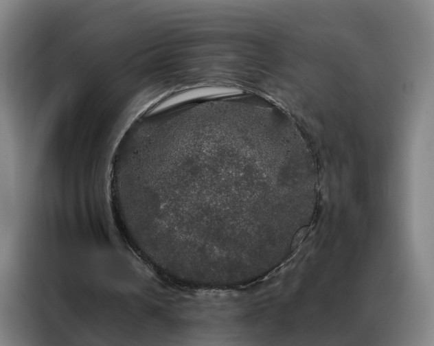 X0000088140242200705211141