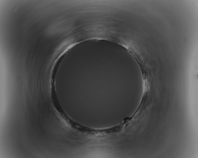 X0000088140243200705211141