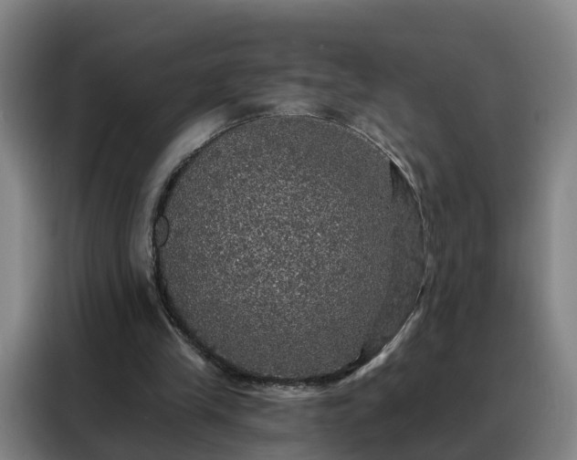 X0000088140245200705211141