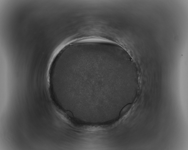 X0000088140246200705211141